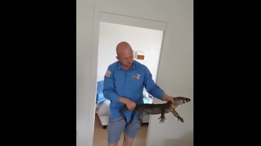 Hallaron una "sorpresa" debajo de la cama