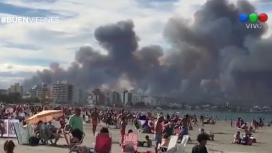 Controlan incendio forestal en Puerto Madryn