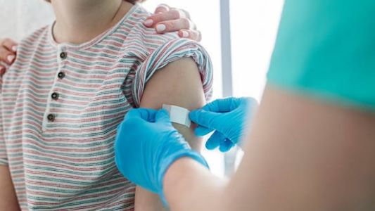 Fiebre amarilla: quién se tiene que vacunar