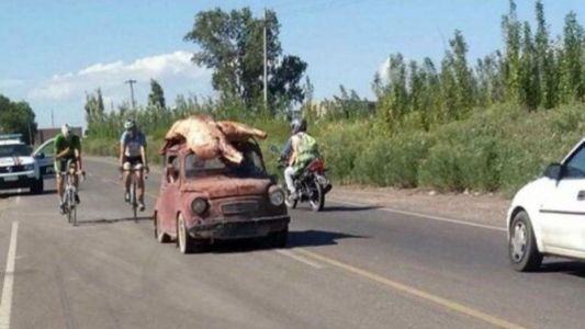 Volcó un camión y se llevaron la carne hasta en los techos de los autos