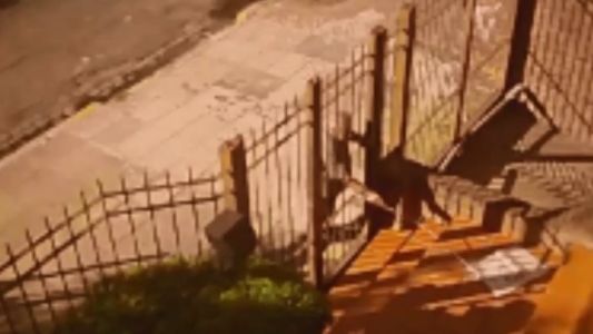 Vecino indignado: le robaron el diario y difundió el video para escrachar al ladrón