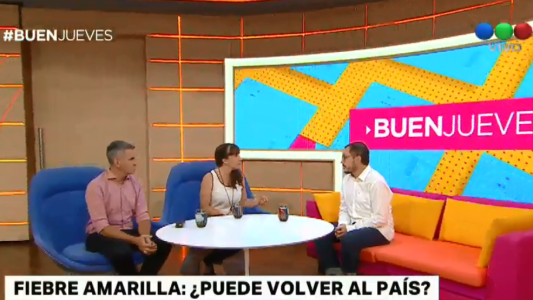 Fiebre amarilla: ¿puede volver al país?