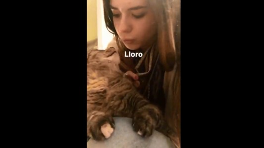 Intentaba grabar un video tierno con su gato, pasó algo inesperado y se volvió un furor en las redes