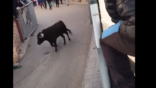 Video impactante: un toro rompió una barrera y embistió un cochecito de bebé en España