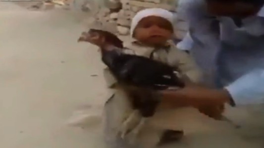El pequeño nene que evitó que su padre sacrificara un pavo