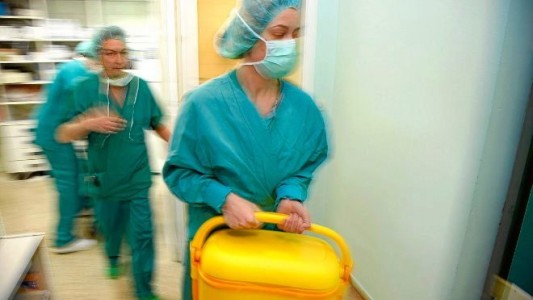 Holanda: aprobaron una ley que convierte a todos los ciudadanos en donantes de órganos