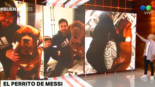 El perro gigante de Messi conquistó a todos en las redes sociales