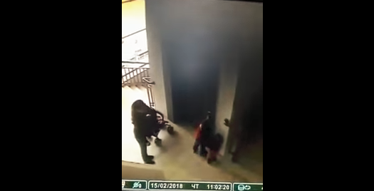 Video: una nena de 2 años "desaparece" ante los ojos de su mamá mientras le saca una foto