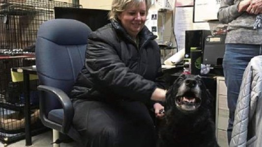 Perdió a su perra, creyó que había muerto y 10 años después se reencontró con ella