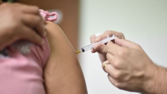Detectaron el primer caso importado de fiebre amarilla en el país