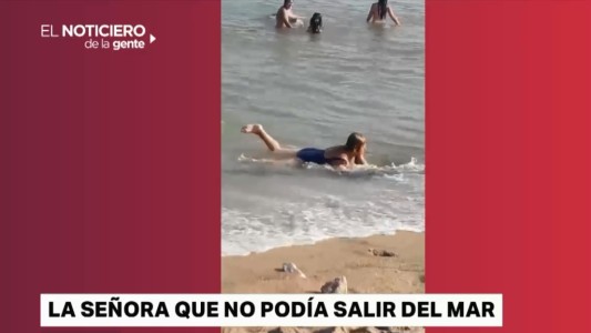 Siete videos virales para compartir con todos