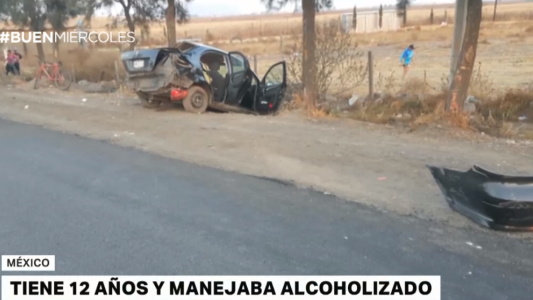 Un nene de 12 años manejaba alcoholizado y mató a cinco menores
