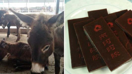 Detuvieron a 36 personas por vender falsos remedios de piel de burro