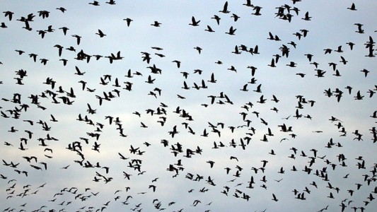 Espeluznante: el cielo de Roma se transformó en una escena de una película de terror