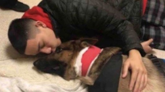 Un perro recibió tres disparos al salvar la vida de su dueño durante un asalto