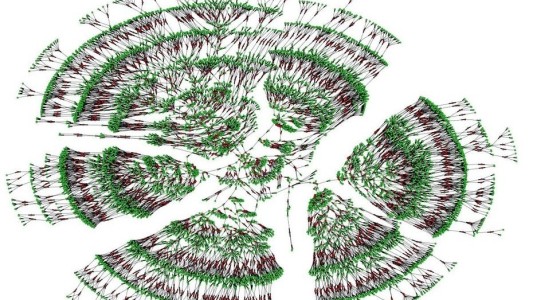 Crean el mayor árbol genealógico de la humanidad