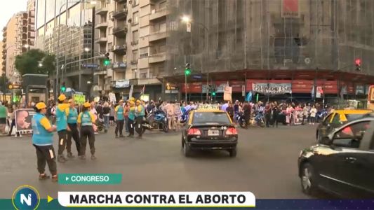 Marcharon contra el aborto frente al Congreso