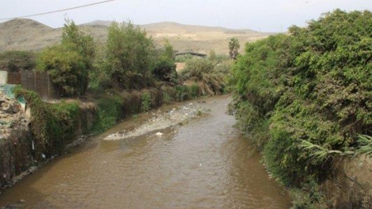 Video: les robaron mientras tenían sexo al lado de un río