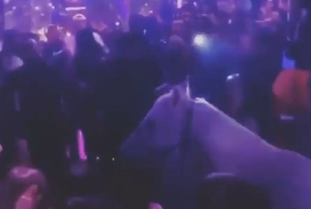 Caos y escándalo: una bailarina semidesnuda entró a caballo a un boliche de Miami