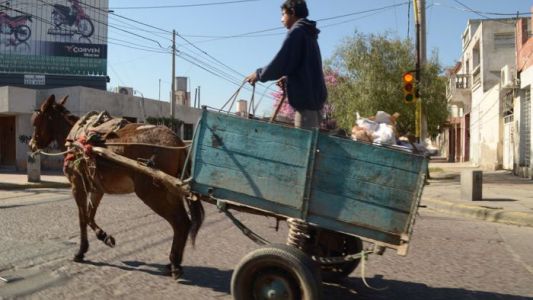 Sacaron de circulación más de 300 carros con tracción a sangre