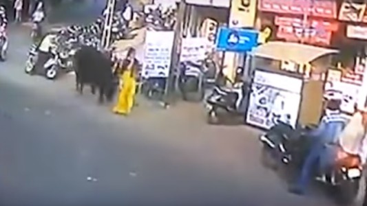 Video: un toro suelto en la calle revoleó a una mujer
