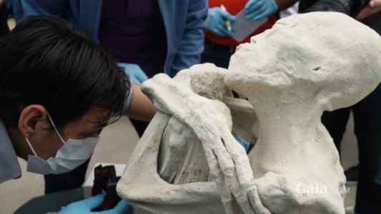 Revelan detalles de "María", la momia humanoide hallada cerca de las Líneas de Nazca en Perú