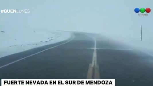 Fuerte nevada en el sur de Mendoza