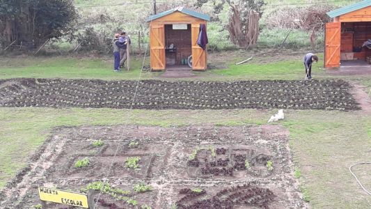 Alumnos producen verduras que luego donan a un hogar de ancianos municipal