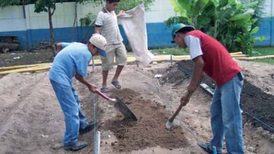 Las huertas escolares educan para el equilibrio alimentario