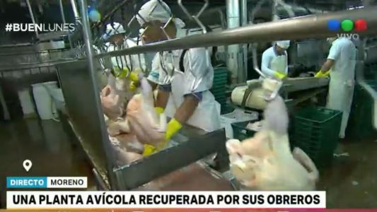 Una planta avícola recuperada por sus obreros