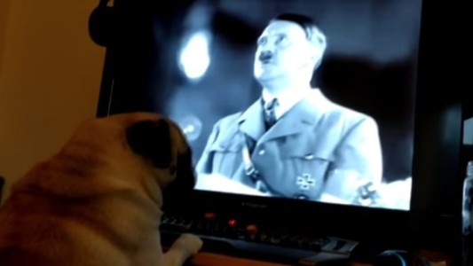 Condenaron a un youtuber por enseñarle el saludo nazi al perro