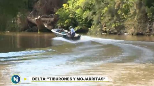 La tragedia en el Delta reaviva el miedo de los isleños por el descontrol de embarcaciones