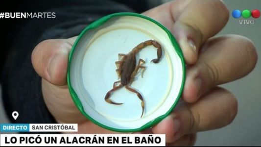 Un joven fue picado por un alacrán cuando se bañaba