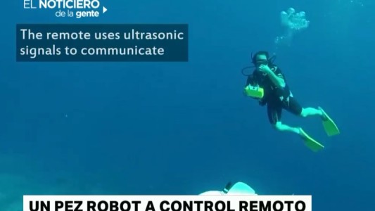 Los 6 videos de este martes de otoño