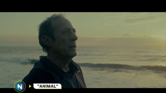 Primer avance de “Animal”