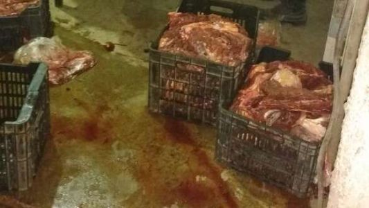 Detuvieron a una banda que faenaba caballos y vendía su carne