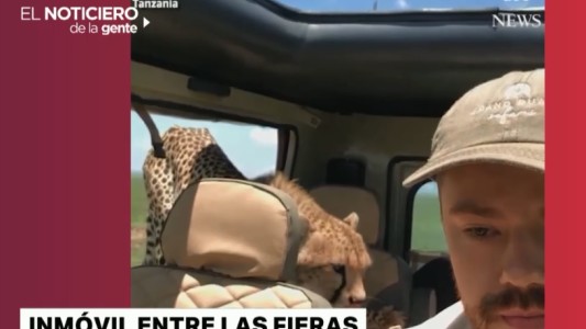 La chita que se sube al auto, un escape a lo Indiana Jones y un camionero temerario