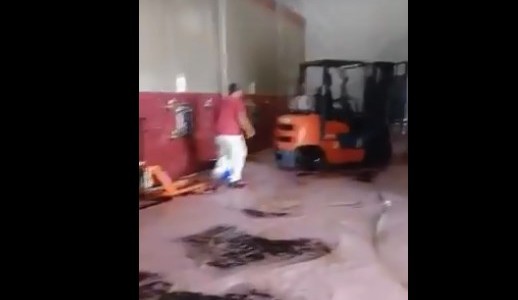 Video viral: se derramaron cientos de litros de vino por el descuido de un empleado de una bodega