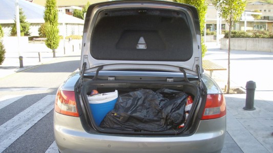 En un control de tránsito descubrieron que llevaba un oso en el baúl