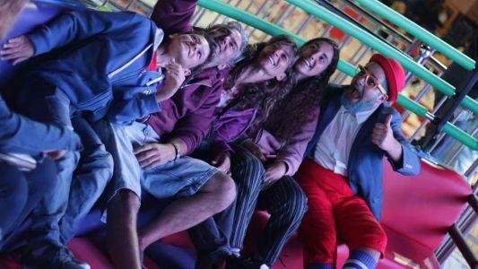 Se cayeron del Samba en el parque de diversiones de Mar del Plata mientras estaban festejando