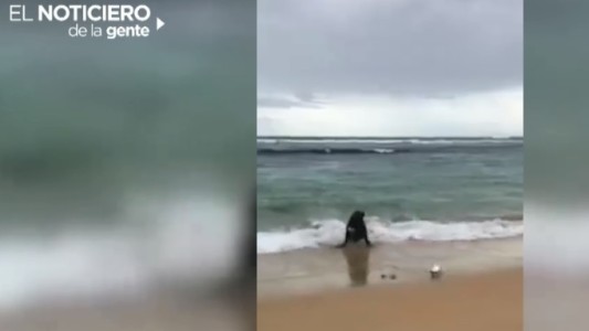 Robo a los pescadores, caída de un dron estrella y explosión del río congelado