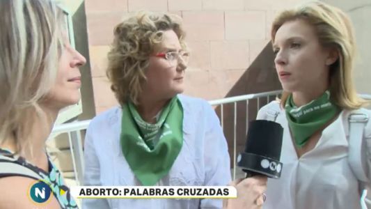 Aborto: voces a favor y en contra de la despenalización