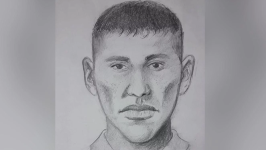 Difundieron el identikit del asesino del colectivero