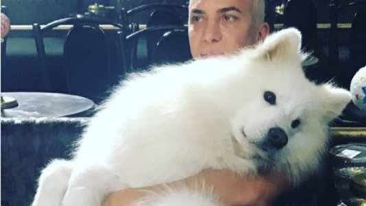 La tristeza de Flavio Mendoza por la muerte de su perro