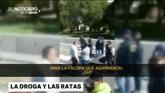 "Narcoratones": revelaron que faltaba el doble de marihuana y que no fue comida por los roedores