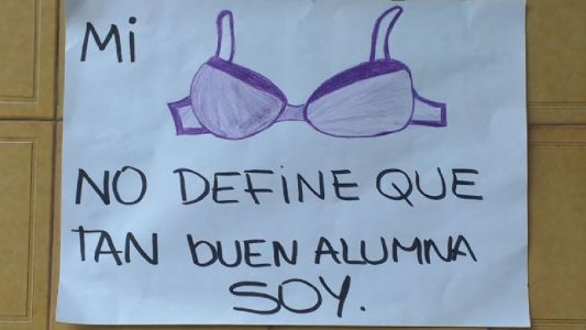 Sancionaron a una chica por no usar corpiño en el colegio y sus compañeros salieron a defenderla