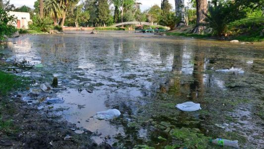 Córdoba: compraron peces para limpiar el lago artificial del Parque Sarmiento