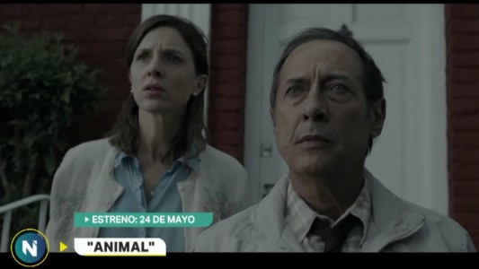Animal, la nueva película de Guillermo Francella