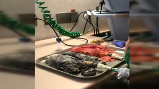 El video que puede ayudar a que las personas dejen de fumar