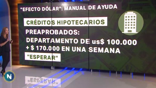 "Efecto dólar": manual de ayuda